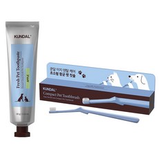 쿤달 반려동물 칫솔 + 치약 60g 세트 사과향, 1세트 1세트