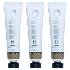 신한화구 전문가 포스터 컬러 튜브형 물감 로 엄버 색상번호 50번 3p, 40ml, 1색