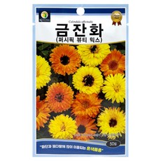 다농 금잔화 퍼시픽 뷰티 믹스 씨앗 50p, 1개
