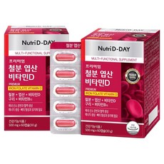 뉴트리디데이 프리미엄 철분 엽산 비타민D 30g, 60정, 2개 60정, 2개