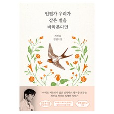 언젠가 우리가 같은 별을 바라본다면(15만 부 기념 양장 에디션):차인표 장편소설, 해결책, 차인표