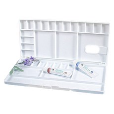 다일로 미술용 물감 팔레트 화이트 29 x 12.8 cm, 1개, 31칸