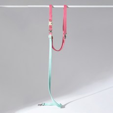 힛찌 강아지 꼬이지 않는 손잡이 쿠션 트윈줄, 1개, 민트핑크