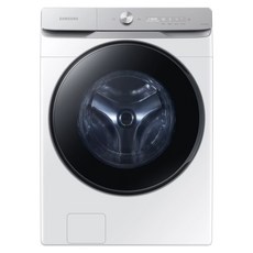 삼성전자 AI 드럼세탁기 25kg 방문설치, WF25DG8650BW, 화이트