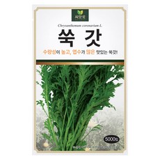 다농 씨앗애 쑥갓 씨앗 5000p, 1개 1개