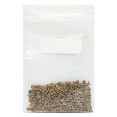 蔬菜工坊 平葉巴西利種子 F16 1250顆, 1個