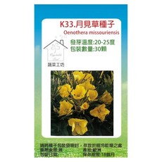 蔬菜工坊 K33 月見草種子 30顆, 1個