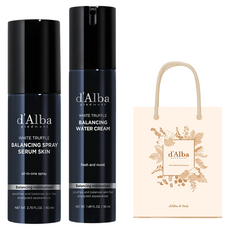 달바 올인원 맨즈 밸런싱 스프레이 세럼 스킨 80ml + 올인원 맨즈 밸런싱 워터 크림 50ml 기프트백 세트, 1세트