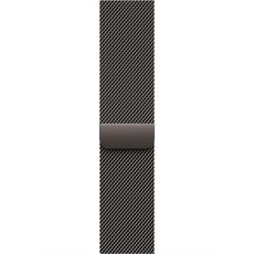 Apple 정품 2025 애플워치 밀레니즈 루프, 슬레이트, 1개