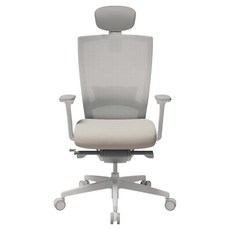 시디즈 T50 HLDA 컴퓨터 책상 의자 방문설치, 화이트 + 아이보리