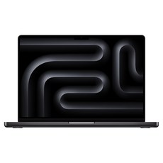 Apple 맥북 프로 14 M4칩, 스페이스 블랙, M4 Pro 14코어, 20코어, 48GB, 2TB, 한글, Nano-texture 글래스
