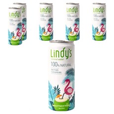 Lindy's 100%原味椰子水310ml*6瓶裝，天然無添加，補充水分，清涼解渴, 310ml, 6瓶