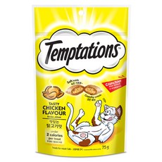 템테이션 고양이 맛있는 닭고기맛, 75g, 1개 160g, 1개