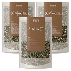 한방선생 치아씨드, 400g, 3개