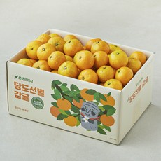 당도선별 감귤 (꼬마과), 1박스, 3kg
