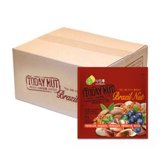 투데이 너트한줌 브라질넛 견과 선물세트, 20g, 50개