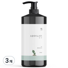 살림백서 오푼티아 앤 밤부 퍼퓸 샴푸 화이트머스크, 1000ml, 3개