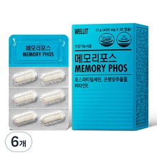 웰릿 메모리포스, 30정, 6개