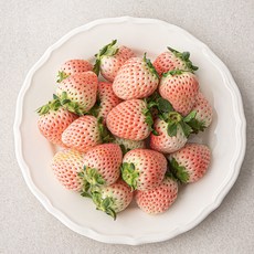 곰곰 국내산 화이트딸기, 500g(L), 1팩