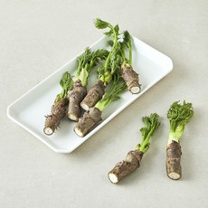참두릅, 1개, 150g
