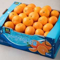 바당보름 Ai선별 당도선별 10brix 감귤 랜덤과, 5kg, 1박스