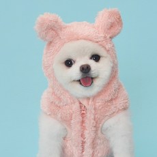 도그아이 반려동물 곰 후드 베스트, 핑크, 1개