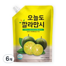 바로푸드 오늘도 깔라만시 원액, 1L, 6개