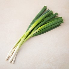 친환경 인증 국내산 깐대파, 500g, 1봉
