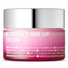 아이소이 블레미쉬 케어 업 흔적크림, 55ml, 1개