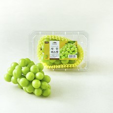 아리당찬 비파괴 당도선별 샤인머스켓, 450g, 1팩