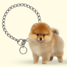 249865022723764-5f9800d8-f894-4e0d-93b7-e19452d5068d.png