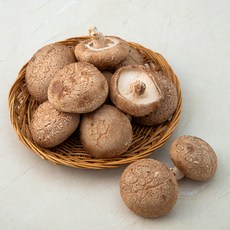 국내산 생표고버섯