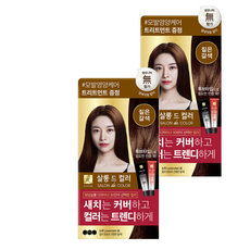엘라스틴 살롱 드 컬러 앤 새치 염색 크림, 짙은갈색, 2개 짙은갈색, 2개