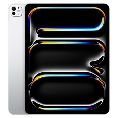 Apple 2025 아이패드 프로 13(M5 모델) Nano-texture 글래스, 실버, 2TB, Wi-Fi+Cellular