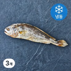 초록바다영어조합법인 영광 법성포 부세 보리굴비 (냉동), 3개, 150g 내외(대 28~30cm)
