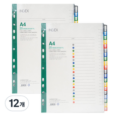 희망사무포인트 화일 PP 20분류 인덱스 홀더파일, 혼합 색상, 12개