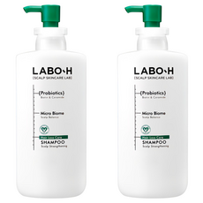 라보에이치 두피강화 클리닉 탈모증상완화 샴푸, 610ml, 2개 610ml, 2개