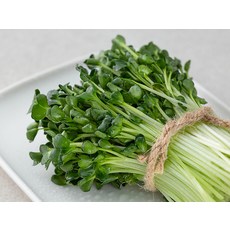 무순, 60g, 1개 - 이미지 3
