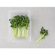 무순, 60g, 1개 - 이미지 4