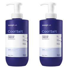 닥터지 두피랩 쿨 솔트 스케일링 샴푸, 500g, 2개 2개, 500g