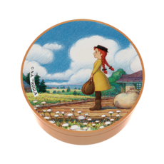 빨강머리앤소품