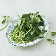 국내산 방아잎, 50g, 1개 50g, 1개