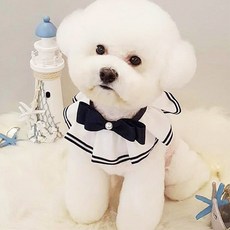 270304485735139-9f4dad8f-05bc-4407-a779-75d10f8ef1b9.jpg