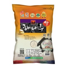 농협 당진 해나루 삼광쌀, 4kg, 1개