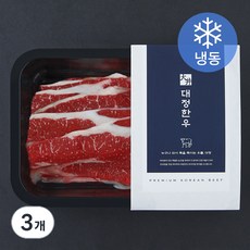 대정한우 우삼겹 1++등급 (냉동), 200g, 3개