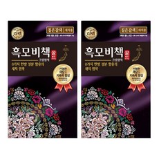 리엔 흑모비책 골드 염모제 세트 90g
