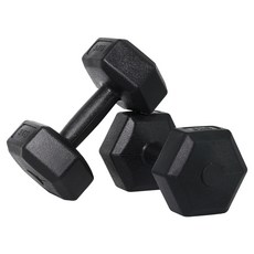 Velika 家用健身房基本六角啞鈴黑色 DB-01, 2個, 3kg
