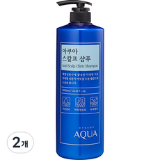 히솝 아쿠아 스칼프 샴푸 시트러스 플로랄 스위트향, 1000ml, 2개