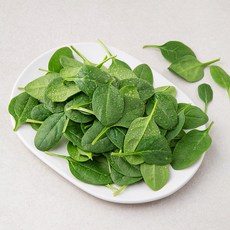 곰곰 어린잎 시금치, 100g, 1개