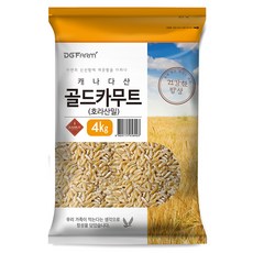 대구농산 건강한밥상 골드 카무트 호라산밀, 4kg, 1개